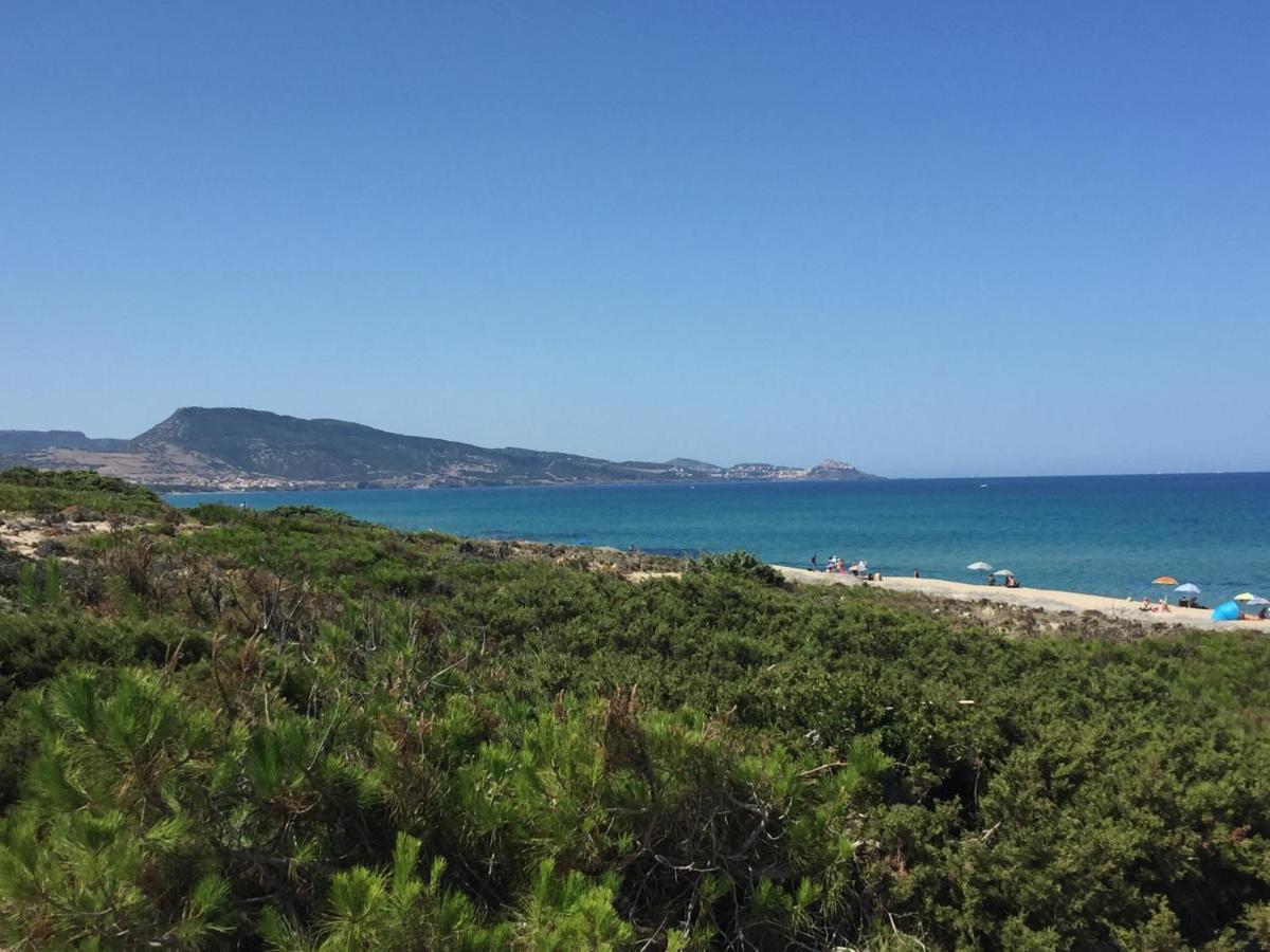 Villa Carrabean Sea In The North Of Sardegna, With Swimming Pool Viddalba Exterior foto