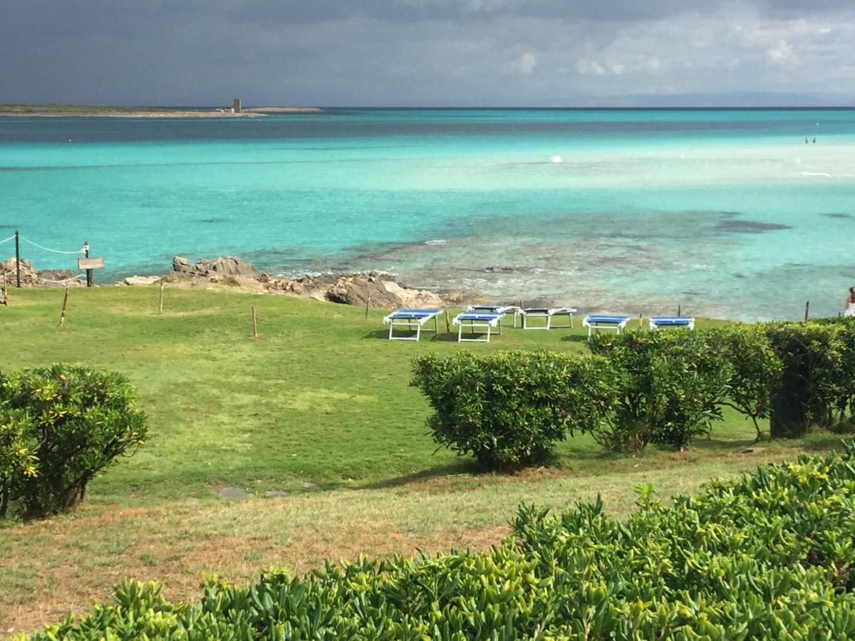 Villa Carrabean Sea In The North Of Sardegna, With Swimming Pool Viddalba Exterior foto