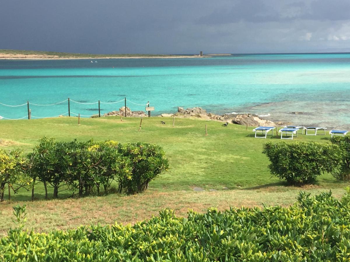 Villa Carrabean Sea In The North Of Sardegna, With Swimming Pool Viddalba Exterior foto