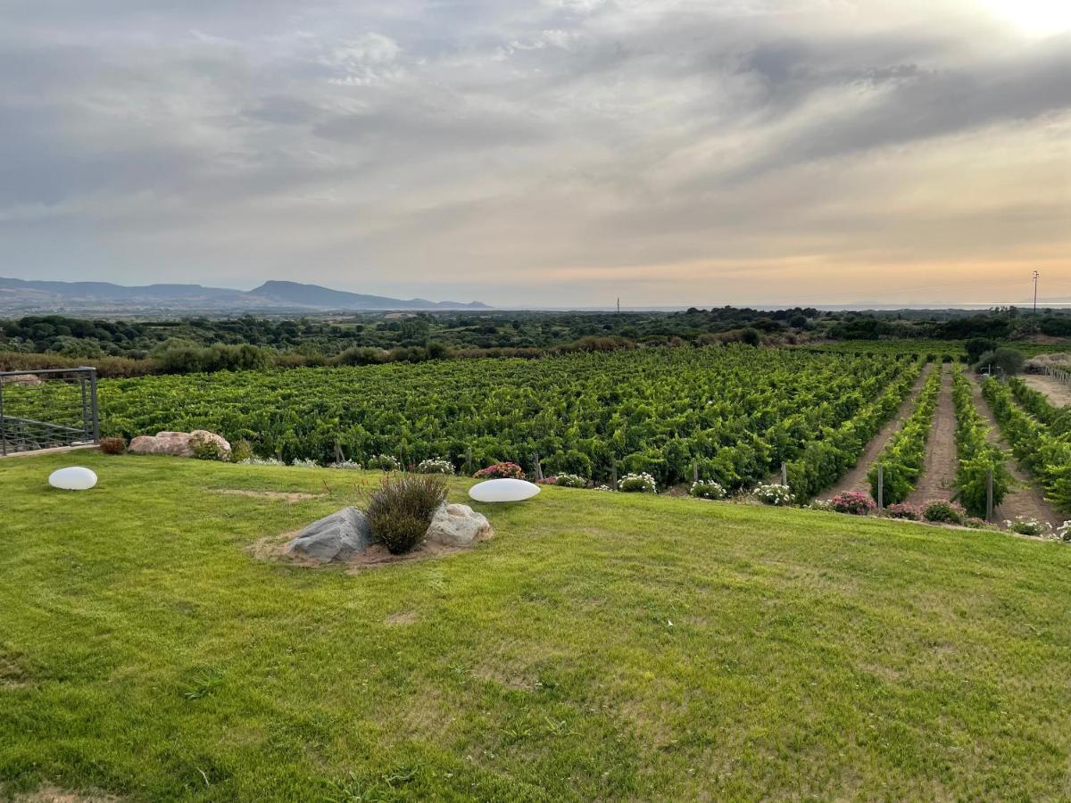 Villa Carrabean Sea In The North Of Sardegna, With Swimming Pool Viddalba Exterior foto