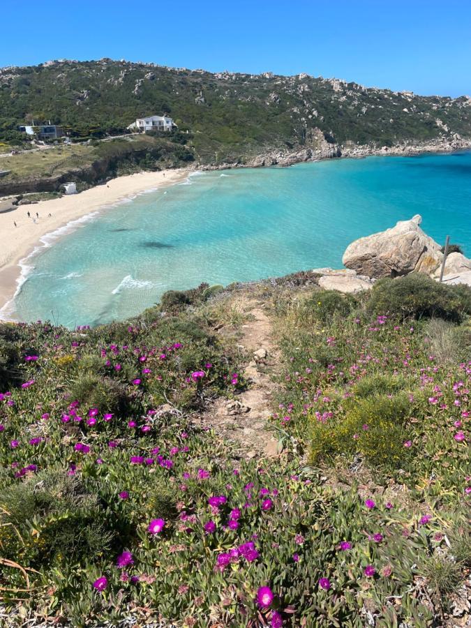 Villa Carrabean Sea In The North Of Sardegna, With Swimming Pool Viddalba Exterior foto