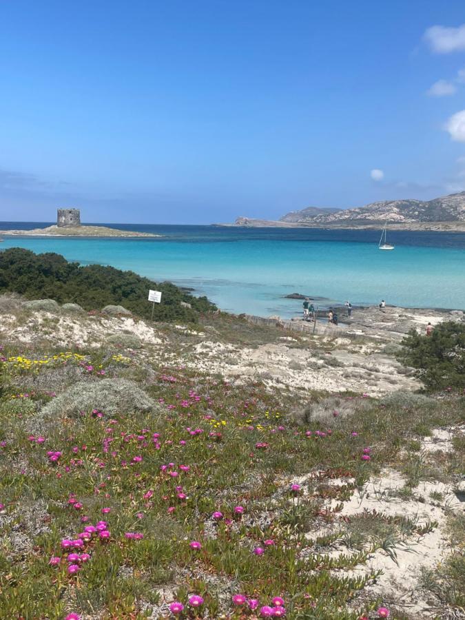 Villa Carrabean Sea In The North Of Sardegna, With Swimming Pool Viddalba Exterior foto